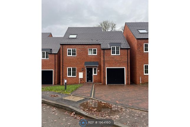 Thumbnail Detached house to rent in Lacewood Close, Nottingham