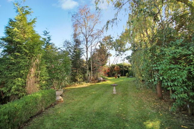 6 Shrubcote, Tenterden photo 2