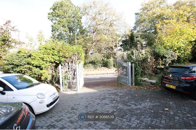 Ground Floor  Shinfield Road, Reading photo 4