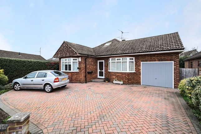 Thumbnail Bungalow for sale in Sycamore Drive, Twyford, Reading, Berkshire