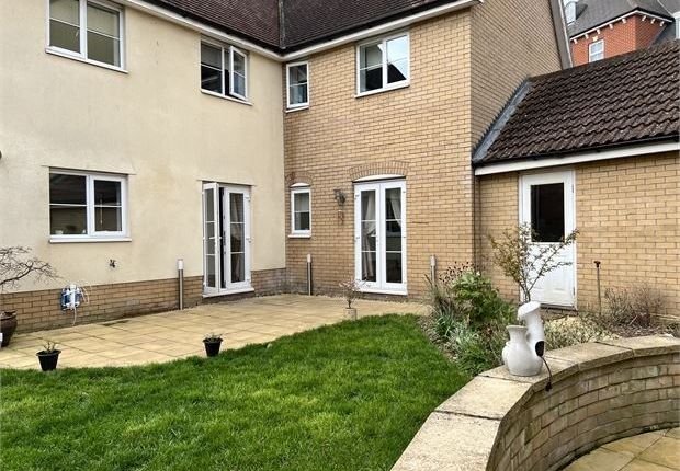 Terraced house to rent in John Mace Road, Colchester, Essex.