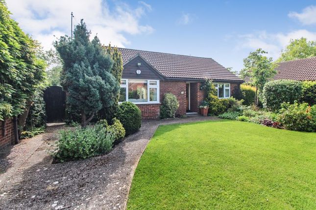 Thumbnail Detached bungalow for sale in Douglas Road, Bedford