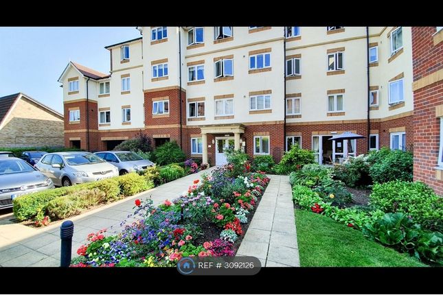 1 Bedroom Flat