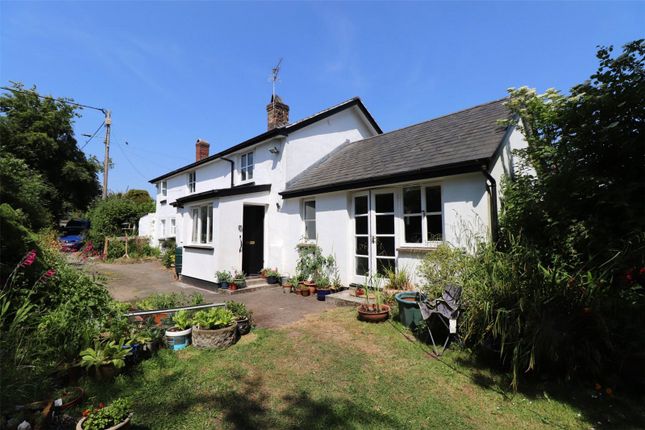 Thumbnail Detached house to rent in Shebbear, Beaworthy