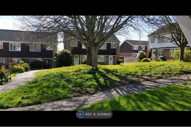 Lilac Walk, Calcot, Reading photo 3