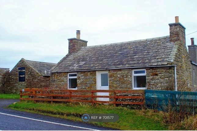 Homes To Let In Orkney Rent Property In Orkney Primelocation