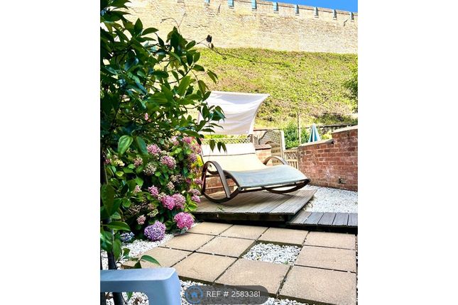 Sunny Garden With Interesting Furniture