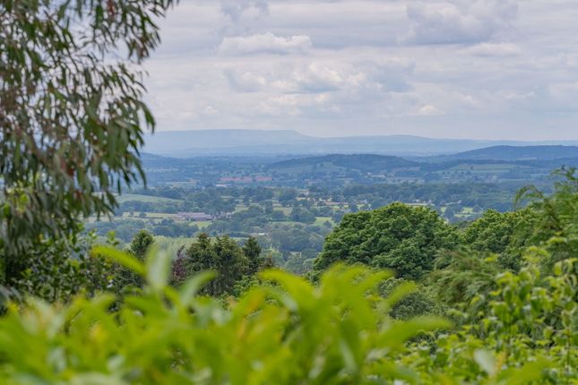 Rose Brae, Fossil Bank, Malvern photo 3