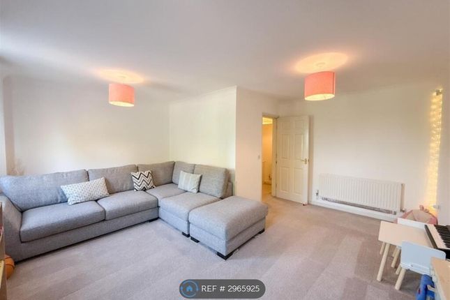 St Cuthberts Road, Gateshead photo 3