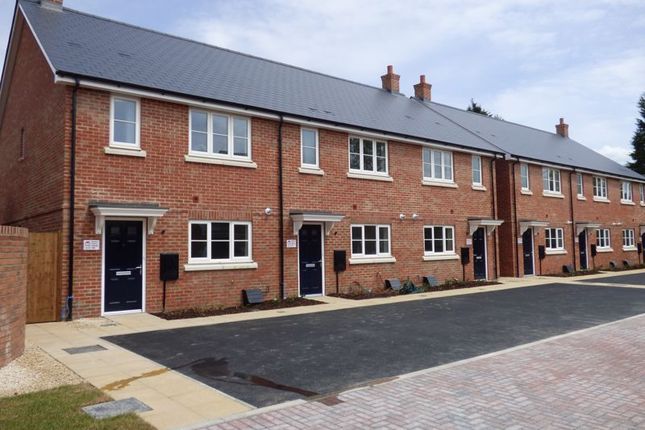 Thumbnail Terraced house for sale in Plot 30, The Bohon III, Earls Park
