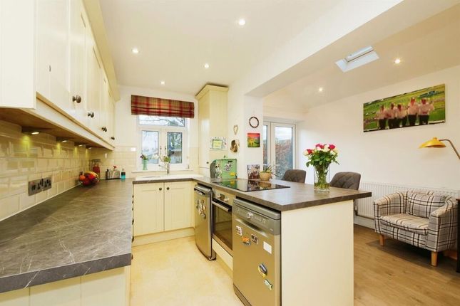 7, Park Terrace, York photo 5