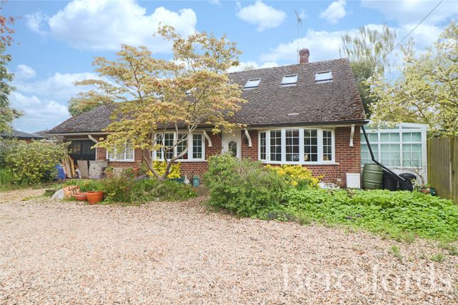 Thumbnail Bungalow for sale in Coggeshall Road, Dedham