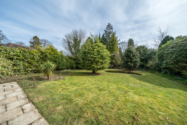 Detached house for sale in Derby Road, Haslemere