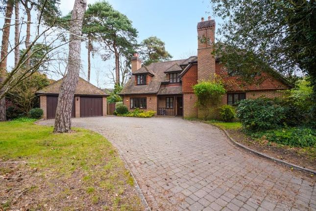 Thumbnail Detached house to rent in Oldfield Woods, Maybury Hill, Woking, Surrey
