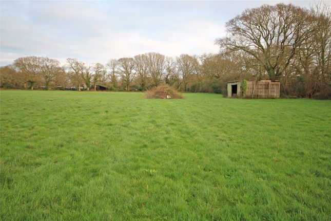 Land for sale in Bashley Cross Road, New Milton, Hampshire