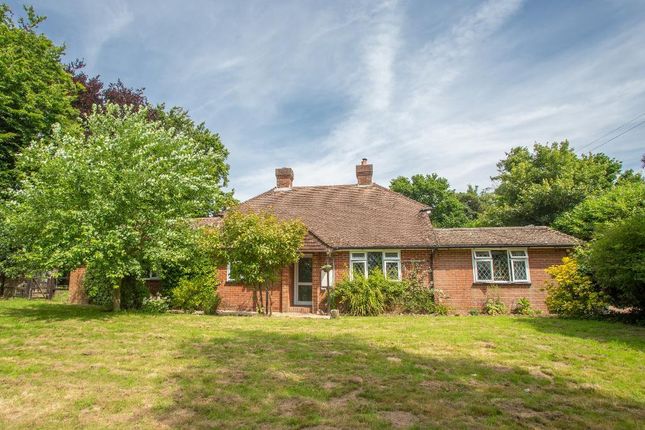 Thumbnail Detached house for sale in Cinderford Lane, Grove Hill, Hellingly, East Sussex