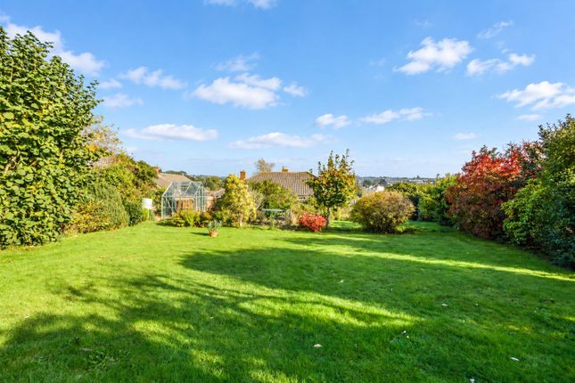 35, Park Drive, Hastings photo 2