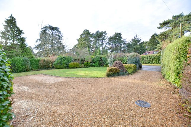 Detached bungalow for sale in Golf Links Road, Ferndown