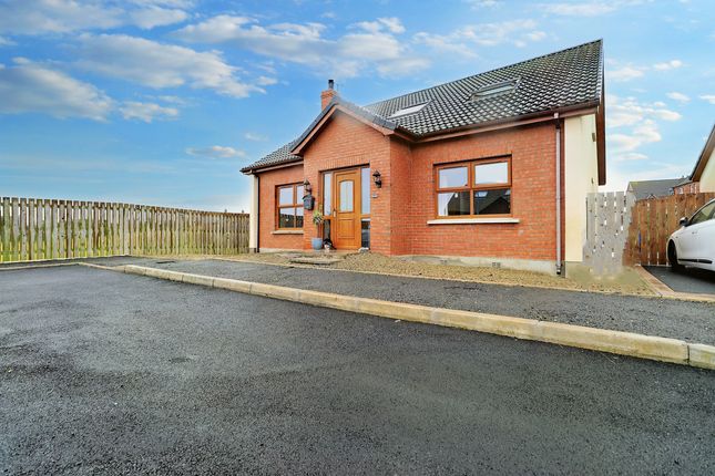 Thumbnail Detached bungalow for sale in 11 Tides Cove, Portavogie, Newtownards, County Down