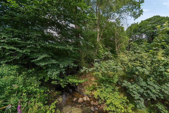 Stream From Deck