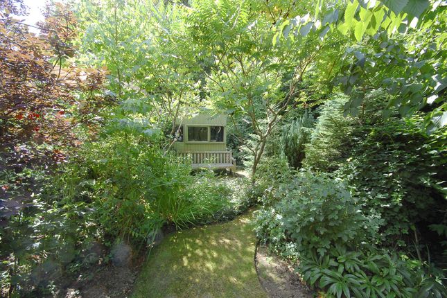 Semi-detached house for sale in Dagg Lane, Ewhurst Green, Robertsbridge