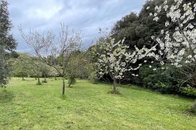 Detached house for sale in Highdale Road, Clevedon