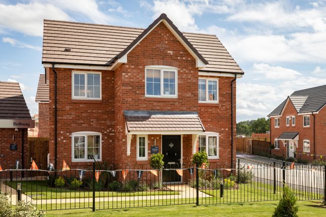 22, Whiteley Road, Ripley photo 2