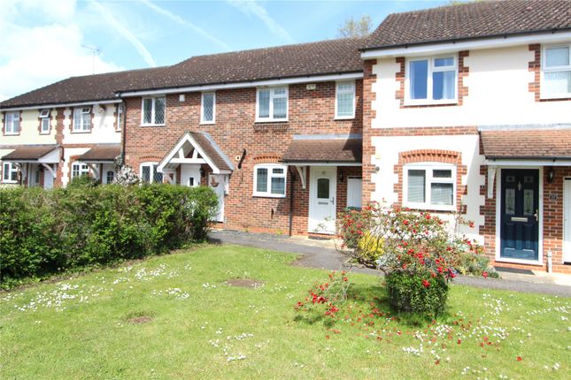 Thumbnail Terraced house for sale in Upper Mount, Liss, Hampshire