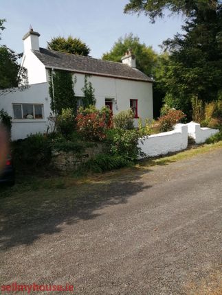 Thumbnail Cottage for sale in Ardura More, Ballydehob, West Cork, P81Ry19.