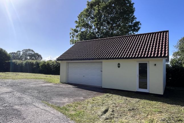 Knowle Orchard, Jews Lane, Winscombe photo 3