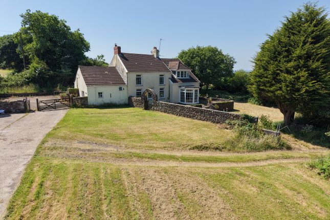 Hendy Farm, Three Crosses, Swansea photo 2