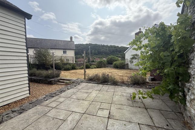 Garden 3.Jpeg