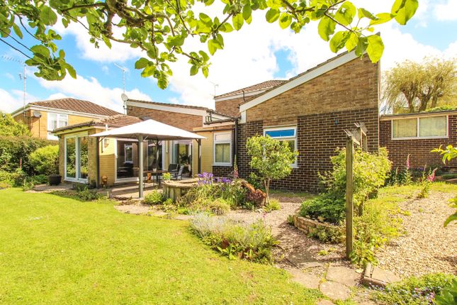 Thumbnail Semi-detached bungalow for sale in Monks Dale, Yeovil