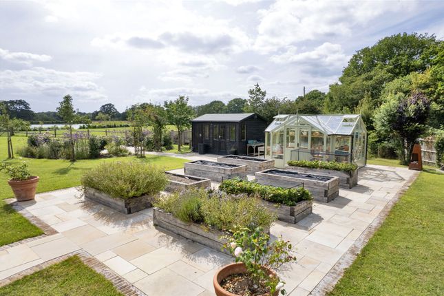 Greenhouse