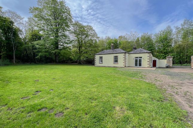 Thumbnail Cottage for sale in West Lodge, Ewart, Wooler