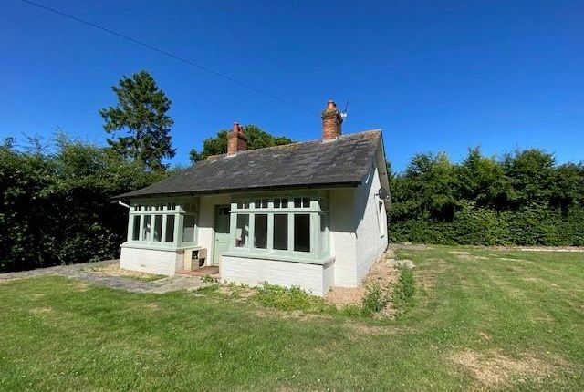 Thumbnail Detached bungalow to rent in Smallhythe Road, Tenterden
