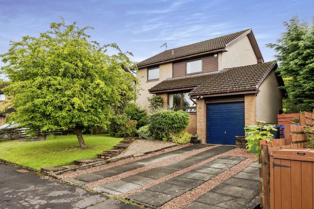 Thumbnail Detached house for sale in Drummond Place, Stirling