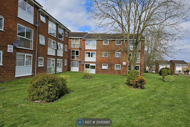 Flat to rent in Roydon Court, Hemel Hempstead HP2