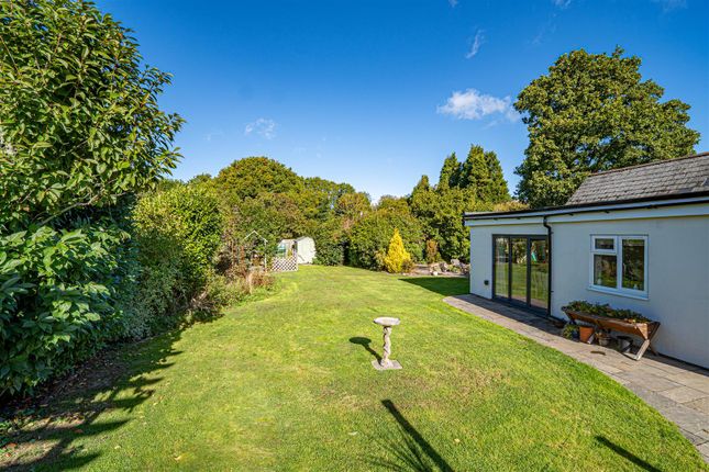Fourteen Acre Lane, Hastings photo 2