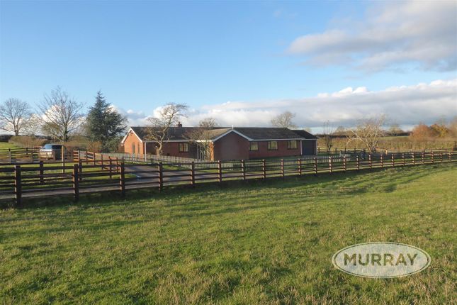 Thumbnail Detached bungalow to rent in Melton Road, Whissendine, Rutland