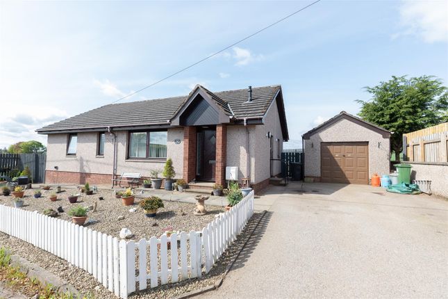 Thumbnail Detached bungalow for sale in Guthrie Street, Letham, Forfar