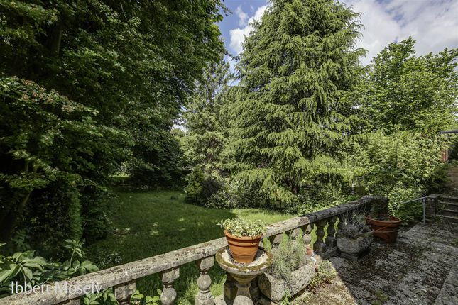 26 Garden - May 2025.Jpg