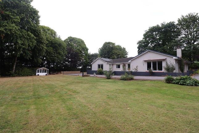 Thumbnail Detached house to rent in Durris, Banchory