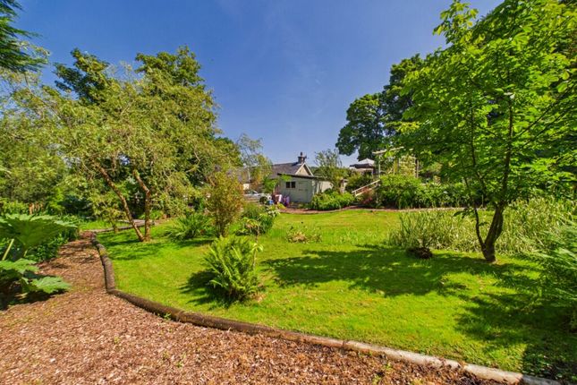 Douglas Cottage, Cladich, Dalmally photo 2