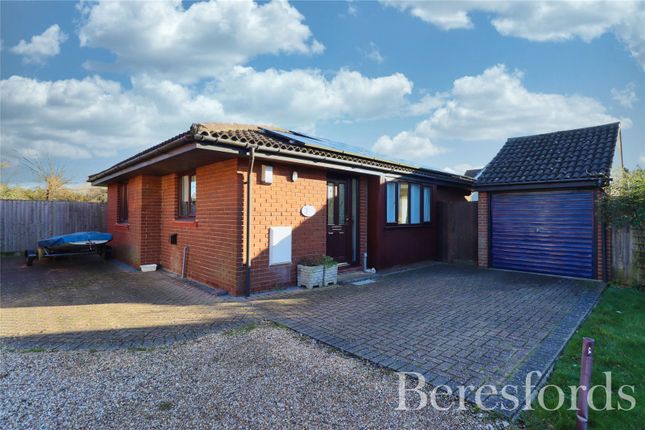 Thumbnail Bungalow for sale in Grebe Close, Mayland