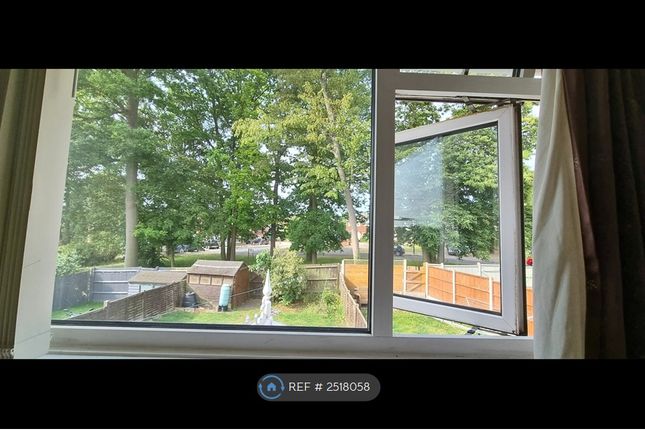 Back Garden View From Bedroom