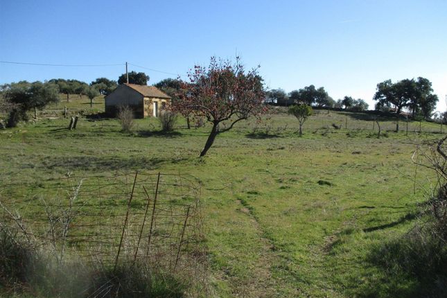 Thumbnail Farm for sale in Mata, Escalos De Baixo E Mata, Castelo Branco (City), Castelo Branco, Central Portugal