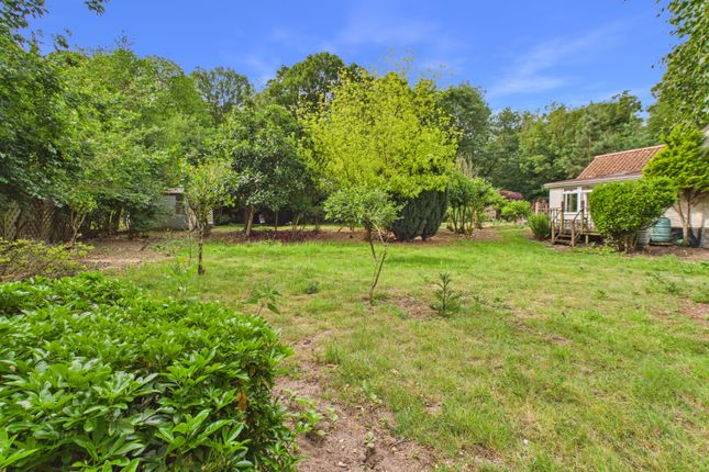 Edgewood Cottage, Ixworth Road, Great Barton photo 3