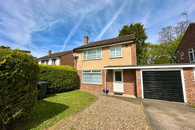 Thumbnail Property to rent in Woodlands Way, Mildenhall, Bury St Edmunds