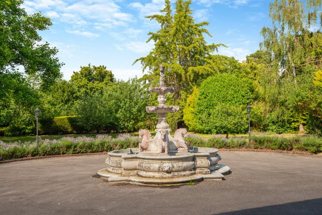 Water Feature